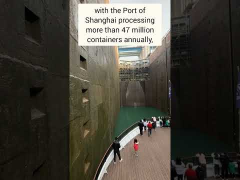 Have you ever seen anything like this?