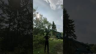50-Year-Old Ash Tree Removal – Part 3
