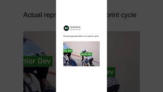 PMs : ‘We’re all in this together, right?' 🙂 #developermemes #memes #programminglife #coding