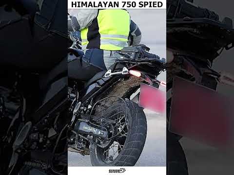 Himalayan 750 Leaks