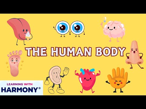 THE HUMAN BODY - LEARNING WITH HARMONY