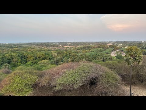 ज़हर की परछाई – एक सर्पदंश की सच्ची कहानी