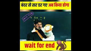 बंदर  से सर डर गए अब क्या   होगा 🙉🐒✅ #shorts #comday #bndar