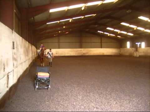 Para Equestrian first trot on TB