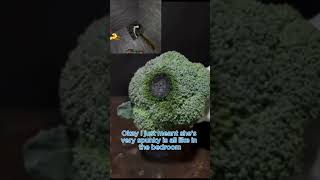 #CreativeEnergy       #VideoInspiration    #DailyDoseOfJoy      #Gratitude