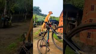 Awesome gadgets for cycle 🤯 || #shorts #unboxing