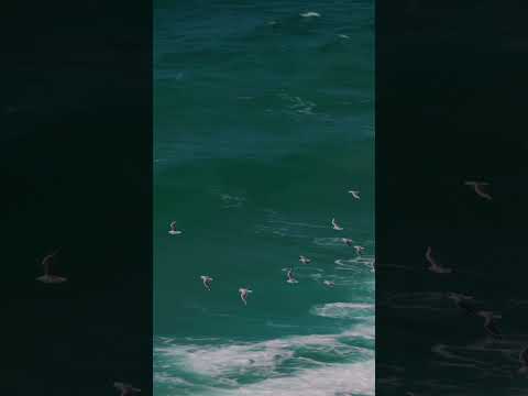 Gold Coast Chill #goldcoast #chill #beach #queensland #australia