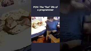 The fun life of a programmer #programmer #programmerlife #funnyprogramming #coding #memecoding #fun