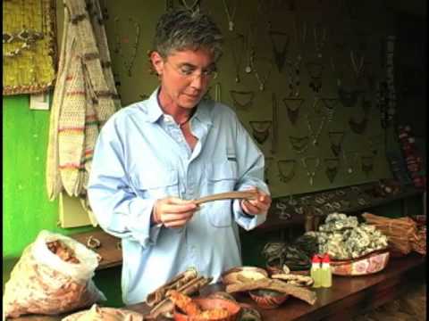 Healing Seekers - Herb Shop in Tena, Ecuador