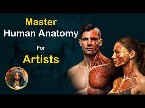 Master Human Anatomy for Artists - The Ultimate Drawing & Sculpting Guide