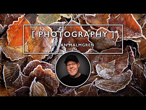 This crazy lens makes everything look vintage | Frost bites with Fujifilm GFX 100 II
