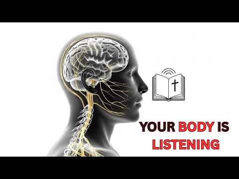 What Scripture Does to Your Nervous System When You Hear It Daily