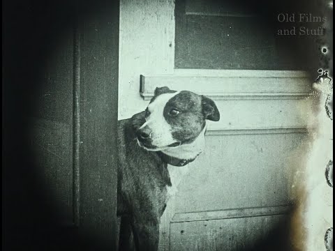 Clips from a Previously Lost Movie - "Brownie, The Peacemaker" (1920)