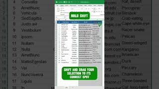 Rearrange Excel Data in SECONDS with this Quick Hack! [2024]