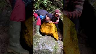 BIGGEST GOLD FOUND IN THE WORLD.! AMAZING SKILL WORKER #goldfound #gold #shorts #fypシ #survival
