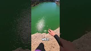 Shocking Underwater Discovery 🤯