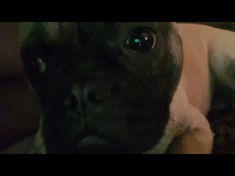 coming soon Lewis youtube channel