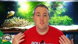 WILD CAUGHT AQUARIUM FISH. GOOD OR BAD?