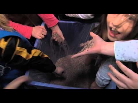 Girl Scout Troop Recognition for Recycling