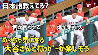 日本語教えてる？ オホッピーに何か言わせているような大谷さん  エンゼルス Angels  大谷翔平 Shohei Ohtani 現地映像