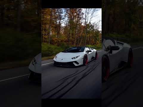 راز عجیب لوگوی لامبورگینی که کسی نمی‌دونه!