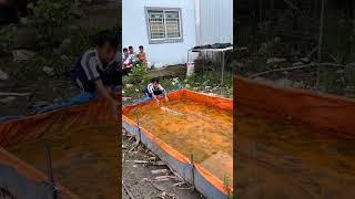 The driver is pretty skilled #electrichorse