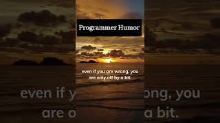 Can never go wrong with a boolean..   #shorts #programminghumor