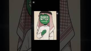 GCC AND MAGHREB COUNTRIES!! 🇸🇦🇦🇪🇩🇿🇲🇦 #countryhumans #countryhumansedit #gcc #maghreb