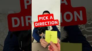 Pick a Direction magic trick