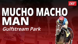 Mucho Macho Man Picks & Analysis @ Gulfstream Park
