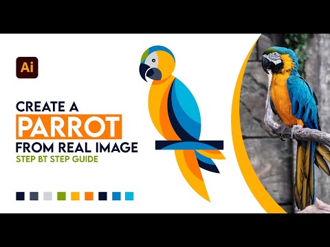 Parrot Vector Tutorial: Convert Real Image to Vector in adobe illustrator