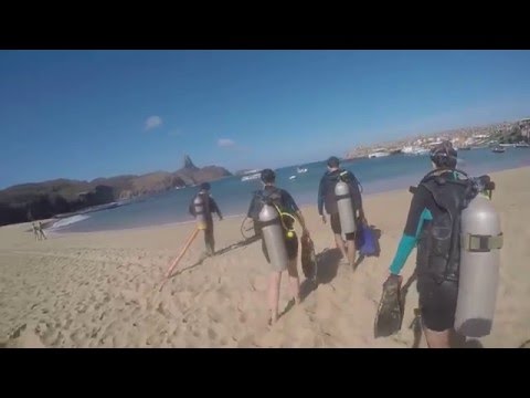Mergulho em Noronha