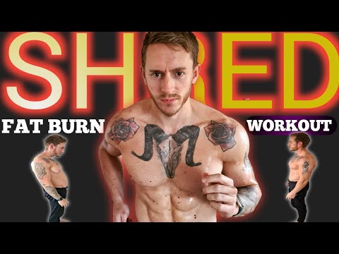 20 Min FAT BURNING Cardio Workout At Home (No Equipment)