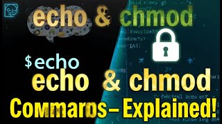 Linux echo & chmod Command Explained with Real Examples