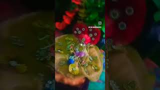 Mohan ma to pagal Ho gai