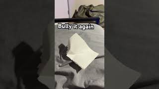The paper isn’t fixed is it that’s what bullying does to people (idea from  @Clowniee_V )