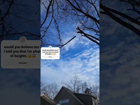 70 ft. up in the air - tree dismantle up close.