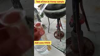 Honey Analysis| Test of iron |Class 12 Chemistry Project