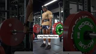 Leg Day | Posterior Chain - Hamstrings and Glutes 🔥
