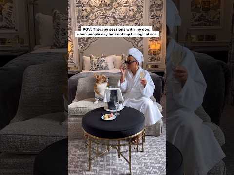 CHILDFREE THERAPY #dog #myanimal #childfreebychoice #corgi #corgimom #dogmom #funnyvideo