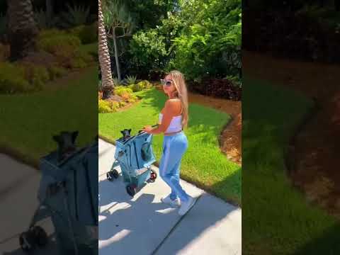 Dog moms are the new milfs #dog #dogmom #iconic #milf #vlog