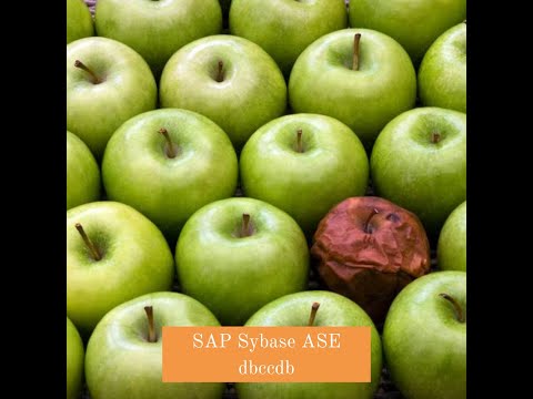 SAP Sybase ASE dbccdb