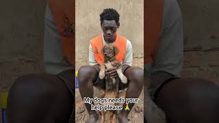 PayPal link and GoFundMe page link under my channel profile description please be kind and help us 🙏