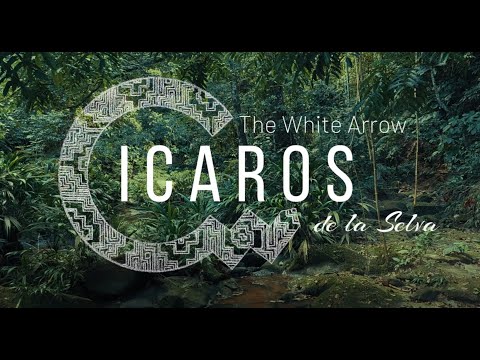 Icaros de la selva