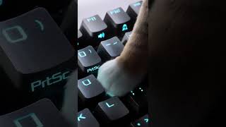 #ROG Monitors naming...🤔