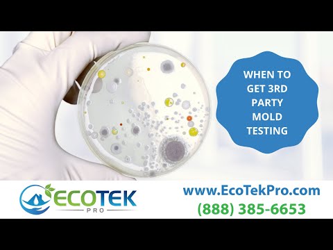 3rd Party Mold Testing