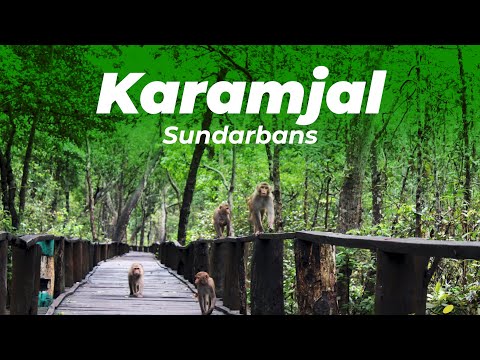 Karamjal || Tourist Place in Sundarbans