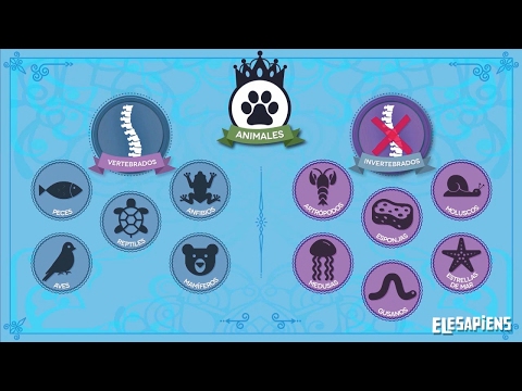 ANIMALES VERTEBRADOS E INVERTEBRADOS