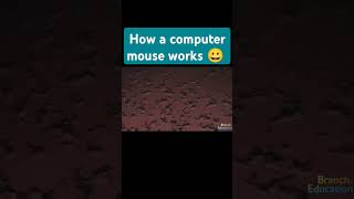 How Does a Computer Mouse Work? 🤔#knowledge #sciencefacts #techexplained