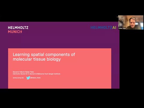 Learning spatial components of molecular tissue biology